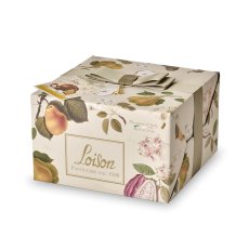 画像1: Loison パネットーネ 洋梨＆チョコレート(500g) (1)